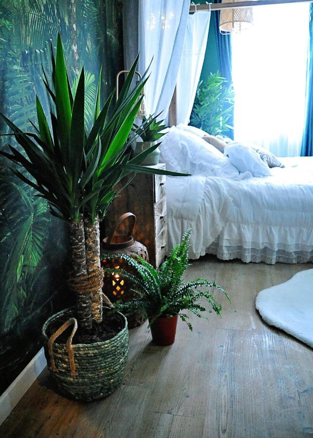 Apartment L'evasion Romantique En Amazonie, Spa, Ecran Cinema, Day Use, Lit Baldaquin